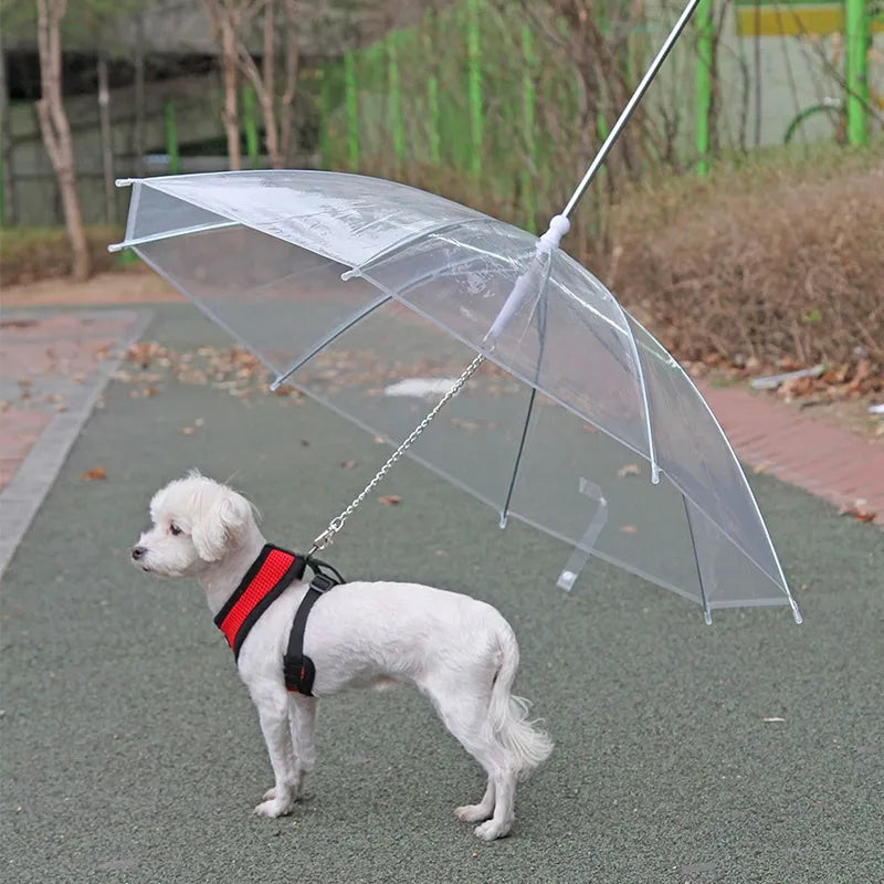 Pawshield Transparent Pet Raincoat With Umbrella Leash