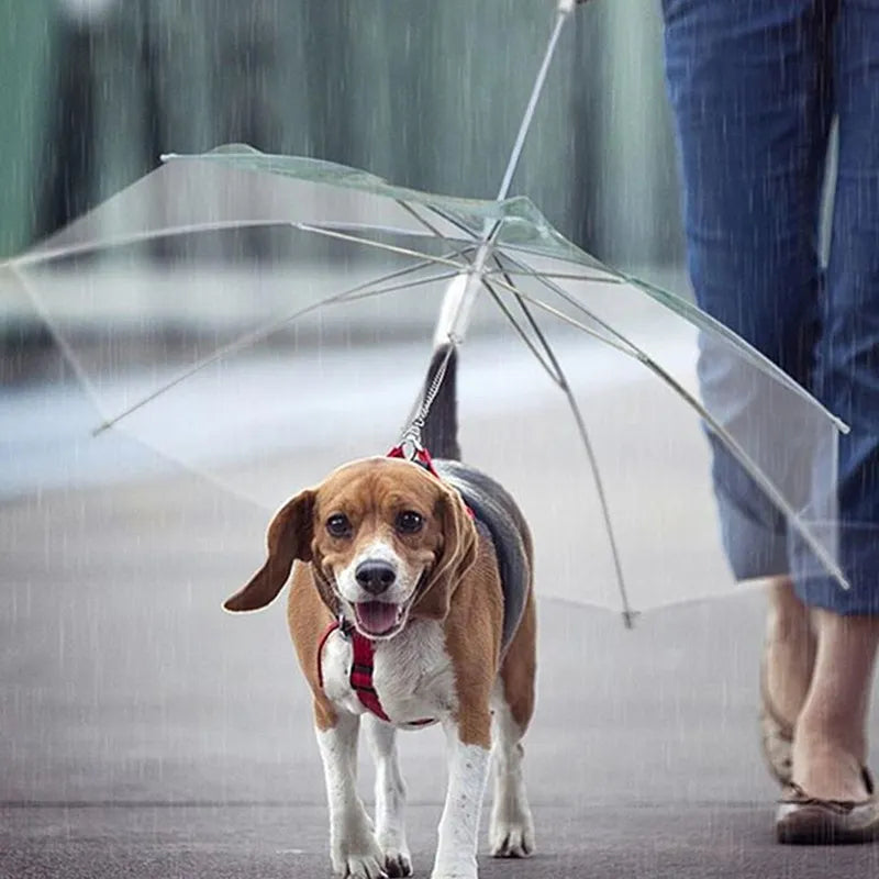 Pawshield Transparent Pet Raincoat With Umbrella Leash