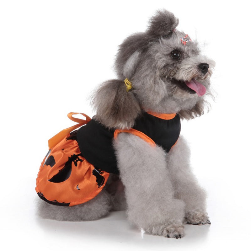 Wizard Dress for Dogs