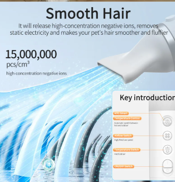 PawDry 2-in-1 Portable Pet Hair Dryer