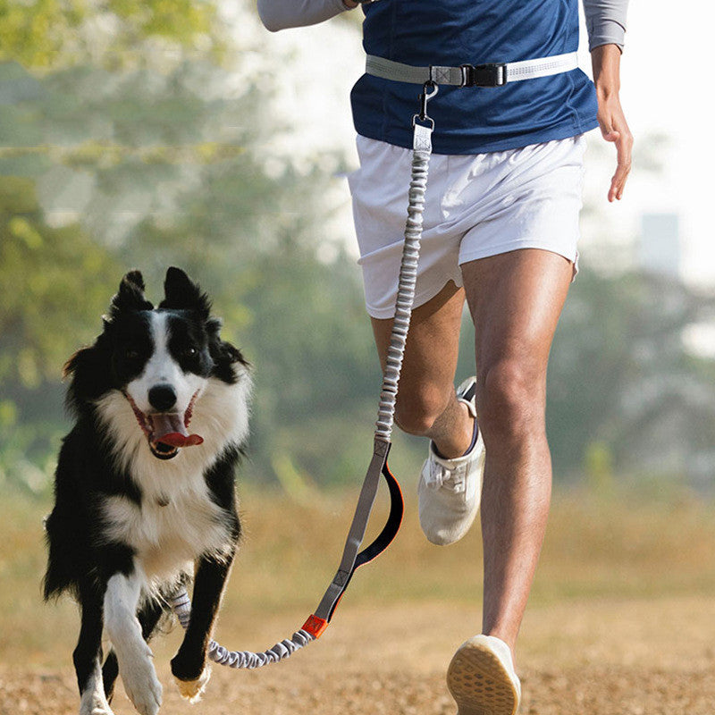 Hands-Free Running Dog Leash